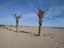 Mirage pour les Dupondt